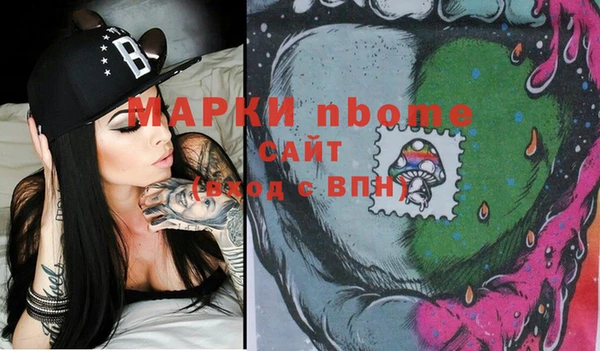 шишки Бородино