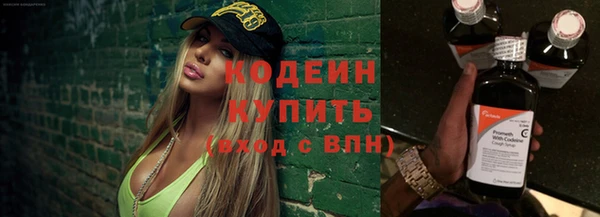дживик Бронницы
