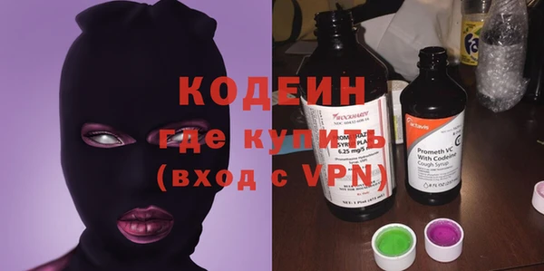 дживик Бронницы