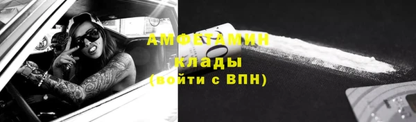 дживик Бронницы