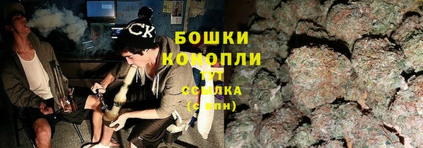 шишки Бородино