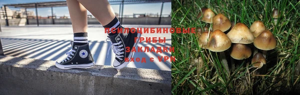 шишки Бородино