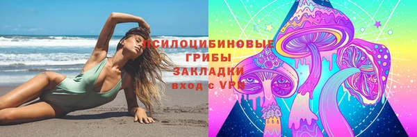 шишки Бородино