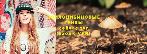 дживик Бронницы