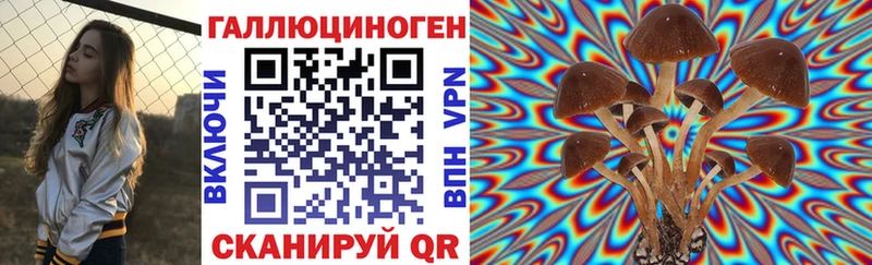 Купить закладки  Кизел  Псилоцибиновые грибы прущие грибы 